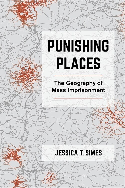 Punishing Places: The Geography of Mass Imprisonment (Hardcover)
