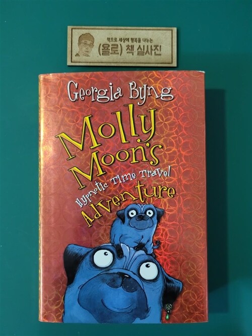 [중고] Molly Moon‘s Hypnotic Time Travel Adventure (Hardcover)