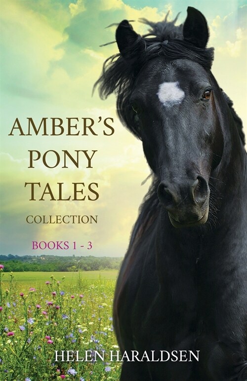 Ambers Pony Tales Collection : Books 1 - 3 (Paperback)