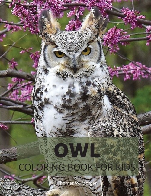 Owl Coloring Book for Kids: Cute Owl Designs to Color for Girls, Boys and Kids Ages 3-8 - Coloring and Acitivity Book for Kids Ages 3-8 with Adora (Paperback)
