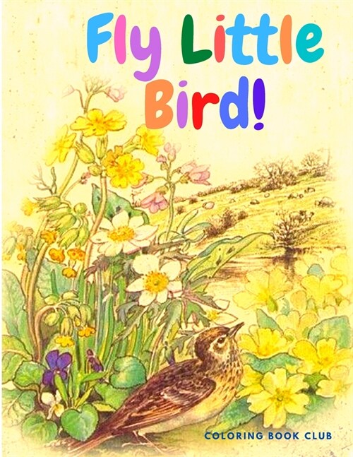 Fly Little Bird: Activity Book for Children with Beautiful Birds to Color (Paperback)
