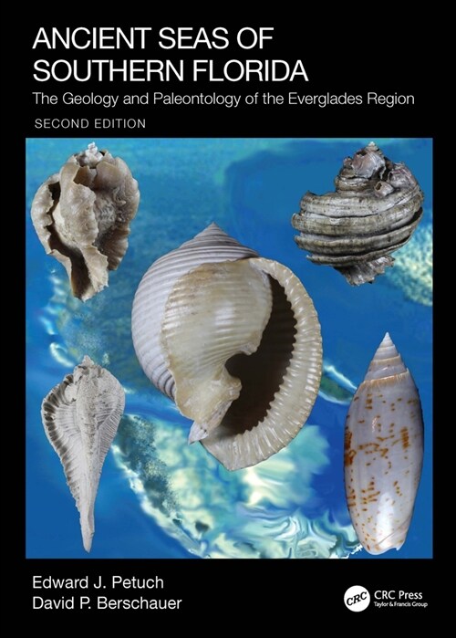 Ancient Seas of Southern Florida : The Geology and Paleontology of the Everglades Region (Hardcover, 2 ed)