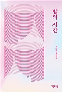 탑의 시간 : 해이수 장편소설 표지이미지