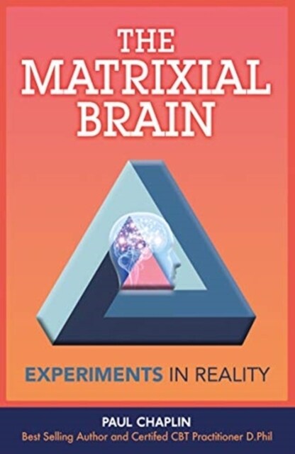 The Matrixial Brain : Experiments in Reality (Paperback)
