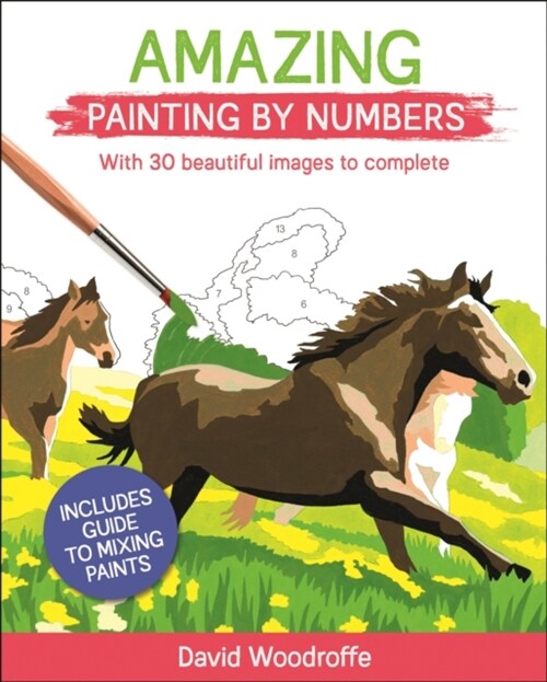 Amazing Painting by Numbers : With 30 Beautiful Images to Complete. Includes Guide to Mixing Paints (Paperback)