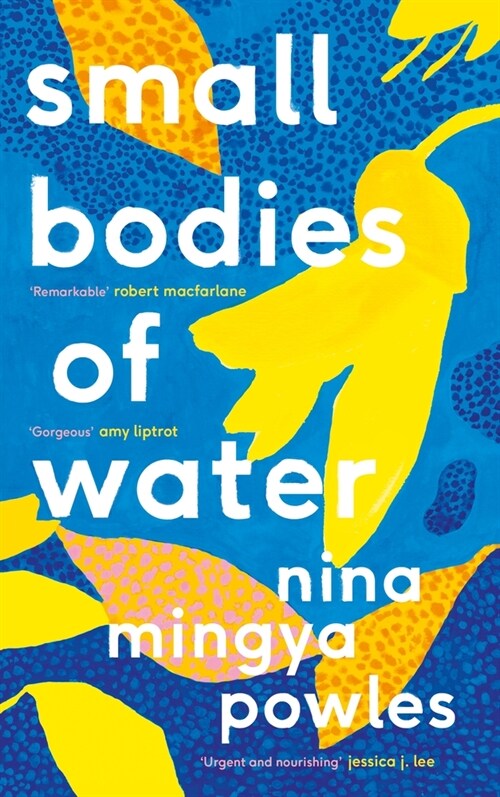Small Bodies of Water (Hardcover, Main)