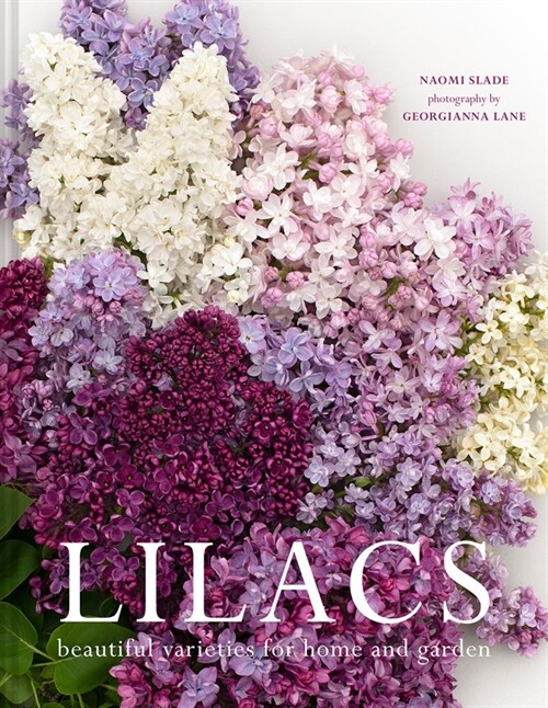 Lilacs : Beautiful varieties for home and garden (Hardcover)