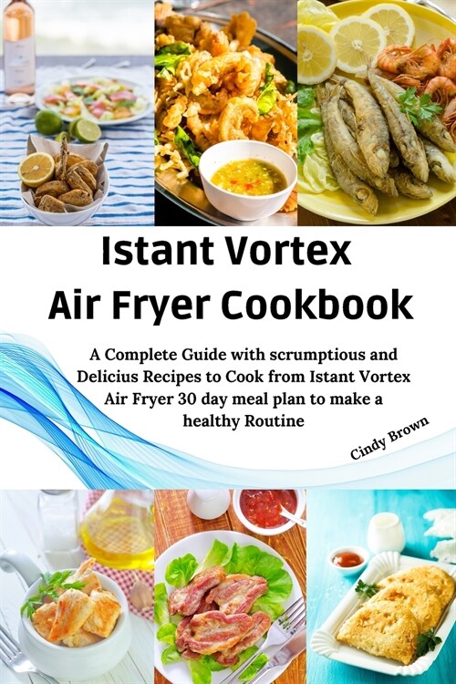 Instant Vortex Air Fryer Cookbook (Paperback)