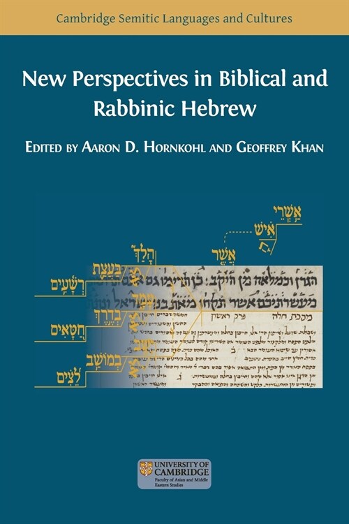 New Perspectives in Biblical and Rabbinic Hebrew (Paperback)