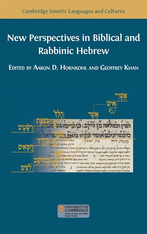 New Perspectives in Biblical and Rabbinic Hebrew (Hardcover)