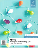 MKTG : Principles of Marketing (13th Edition)
