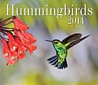 Hummingbirds 2014 Calendar (Paperback)