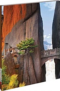 Mountain Bridge (Paperback)