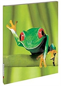 Frogs (Paperback)