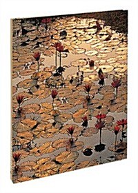 Lotus Pond (Paperback)