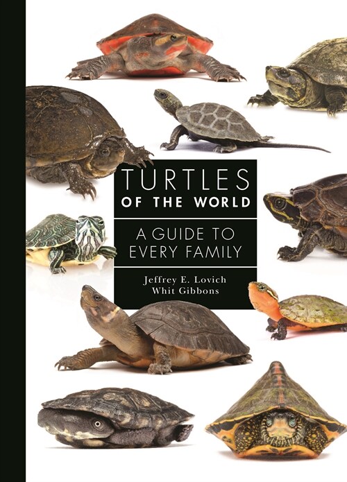 Turtles of the World: A Guide to Every Family (Hardcover)