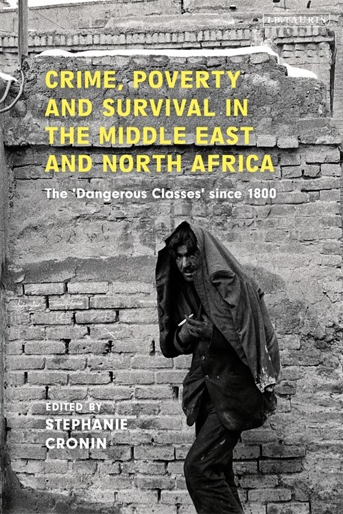 Crime, Poverty and Survival in the Middle East and North Africa : The Dangerous Classes Since 1800 (Paperback)