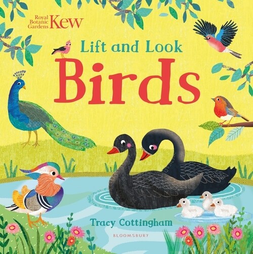 Kew: Lift and Look Birds (Board Book)