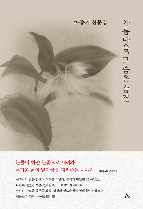 [중고] 아름다움, 그 숨은 숨결