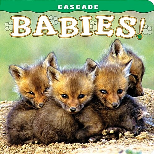 Cascade: Babies! (Board Books)