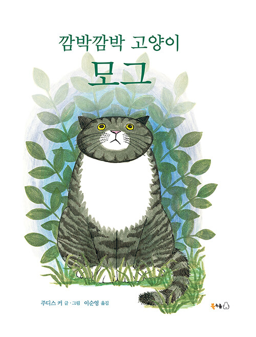 깜박깜박 고양이 모그