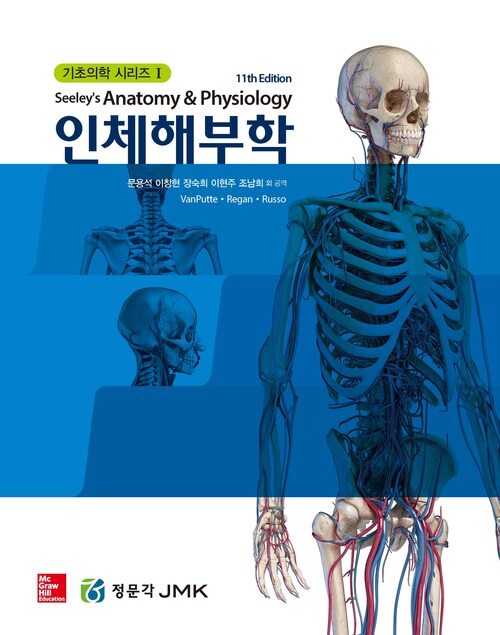 인체해부학