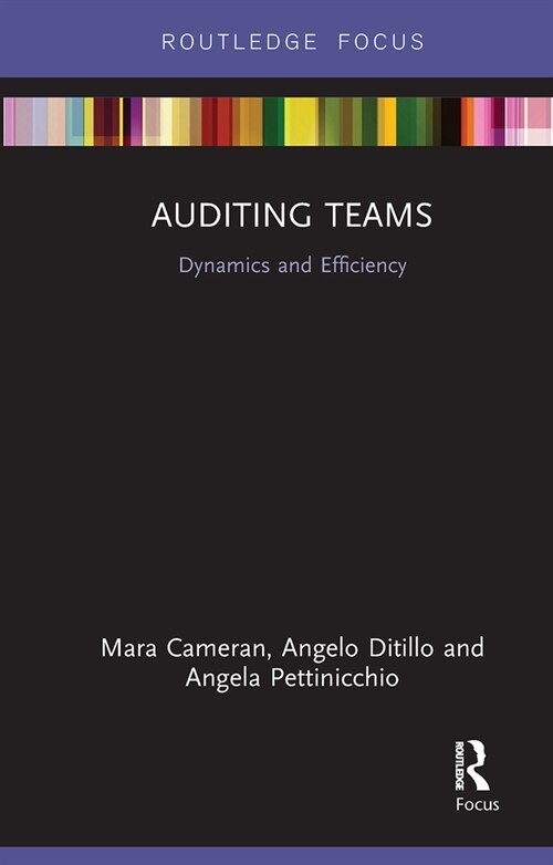 Auditing Teams : Dynamics and Efficiency (Paperback)