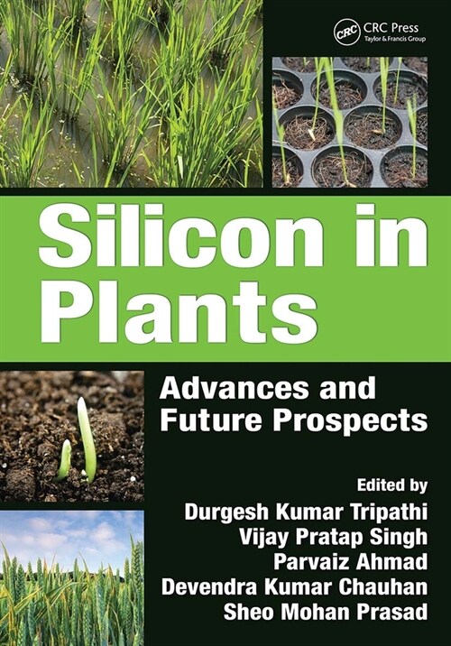 Silicon in Plants : Advances and Future Prospects (Paperback)