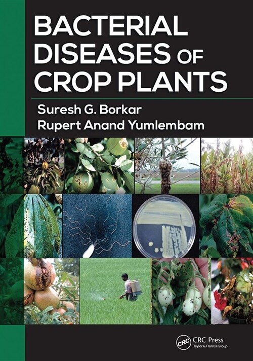 Bacterial Diseases of Crop Plants (Paperback, 1)