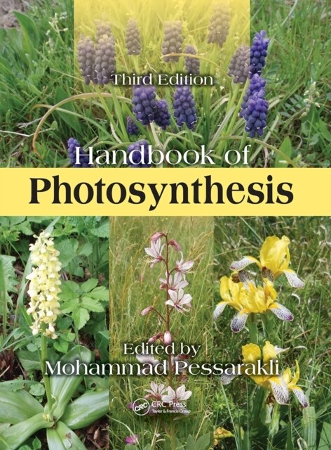 Handbook of Photosynthesis (Paperback, 3 ed)