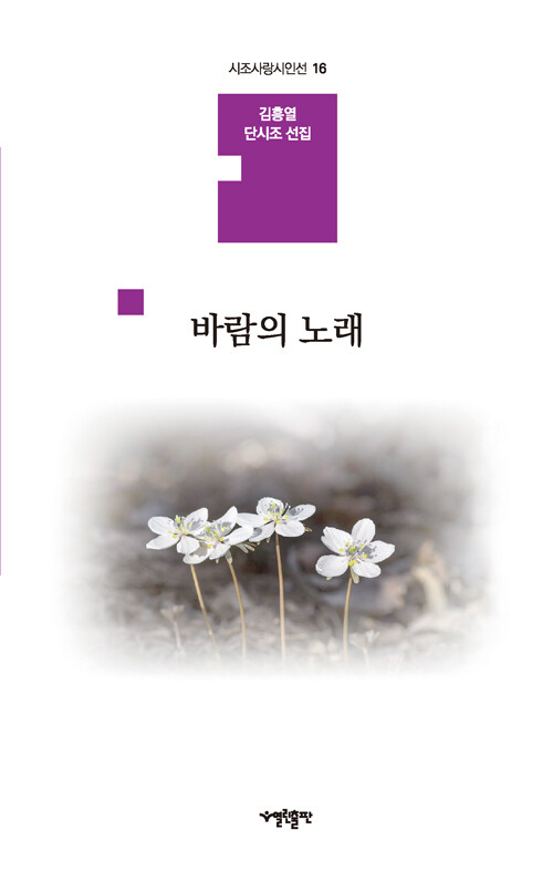 바람의 노래