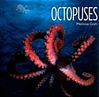 Octopuses (Library Binding)