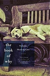 The Book of Why (Paperback)