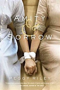 Amity & Sorrow (Paperback)