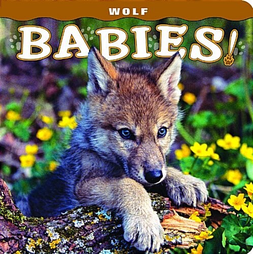 Wolf Babies! (Board Books)