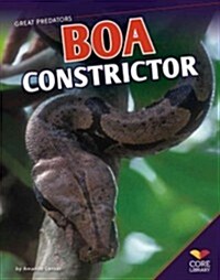 Boa Constrictor (Paperback)