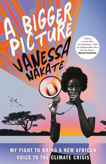 A Bigger Picture : My Fight to Bring a New African Voice to the Climate Crisis (Hardcover)