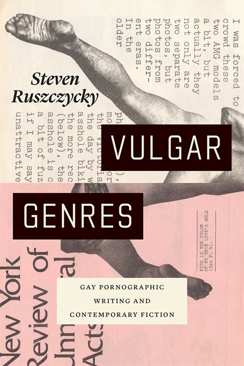 Vulgar Genres: Gay Pornographic Writing and Contemporary Fiction (Hardcover)