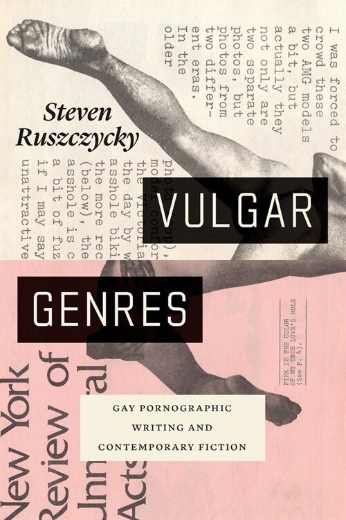 Vulgar Genres: Gay Pornographic Writing and Contemporary Fiction (Paperback)