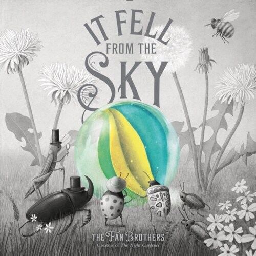IT FELL FROM THE SKY (Hardcover)