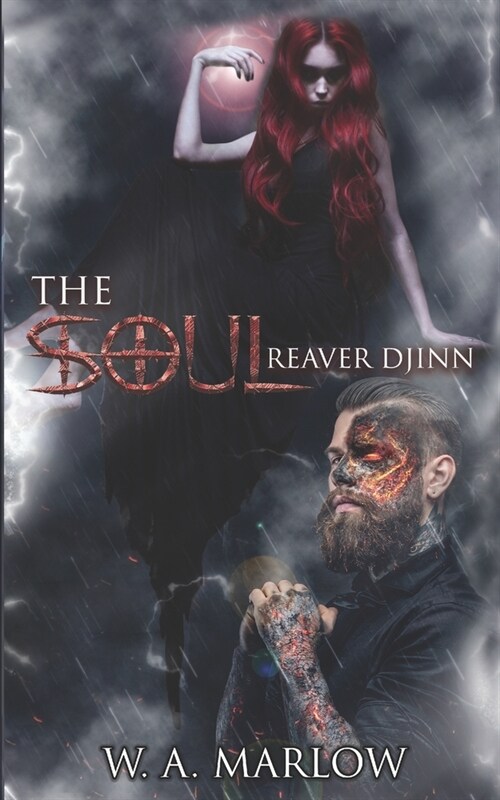 The Soul Reaver Djinn : Book One (Paperback)