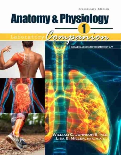 Anatomy AND Physiology 1 Lab Companion, Preliminary Edition (Paperback)