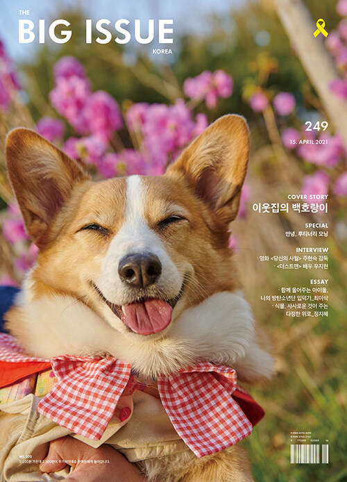 빅이슈 코리아 The Big Issue No.249 : 이웃집의 백호랑이