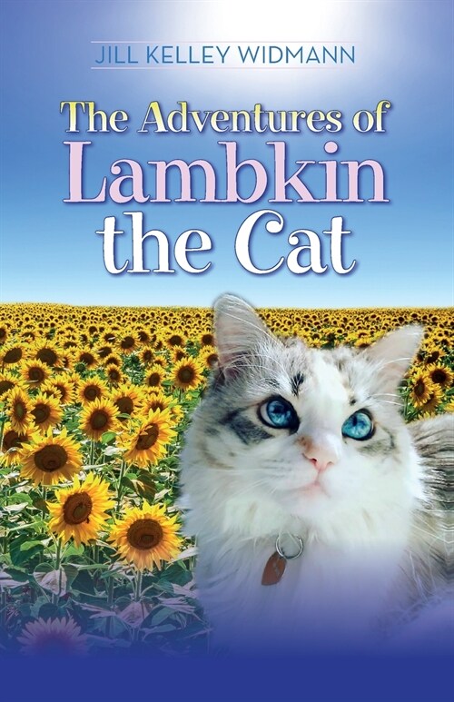 The Adventures of Lambkin the Cat (Paperback)