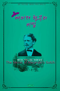 매커저 협곡의 비밀 커버