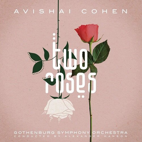 [수입] Avishai Cohen - Two Roses