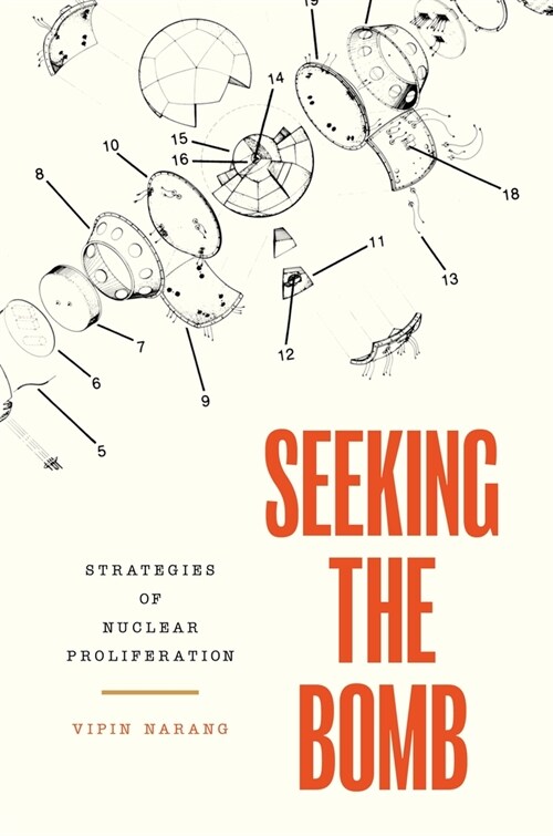 Seeking the Bomb: Strategies of Nuclear Proliferation (Hardcover)