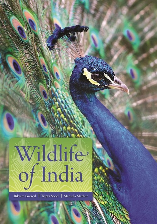 Wildlife of India (Paperback)