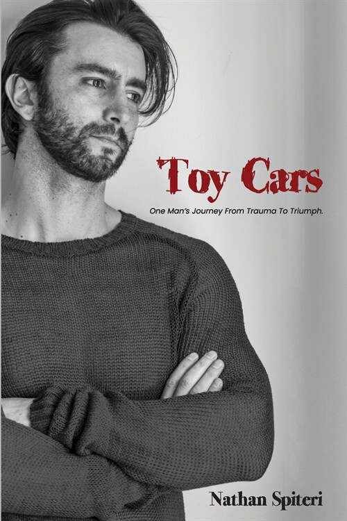 Toy Cars (Paperback)