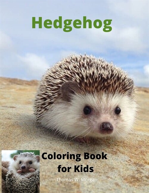 Hedgehog  Coloring Book for Kids (Paperback)